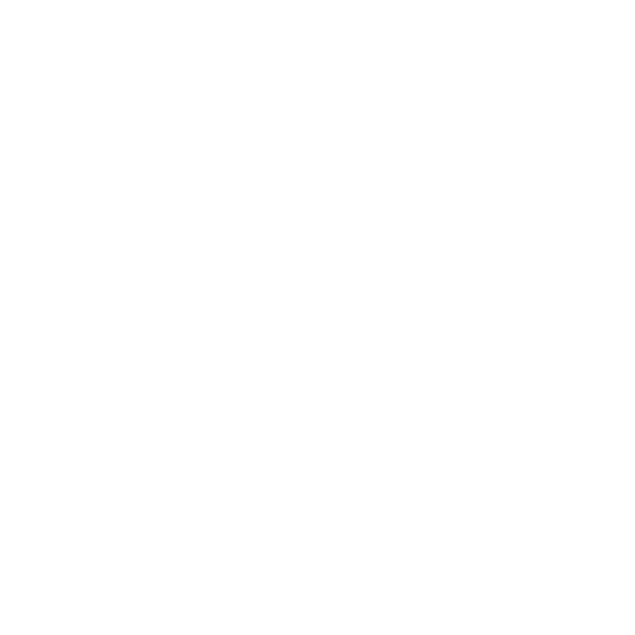 Coghlan Aerial Perspectives logo